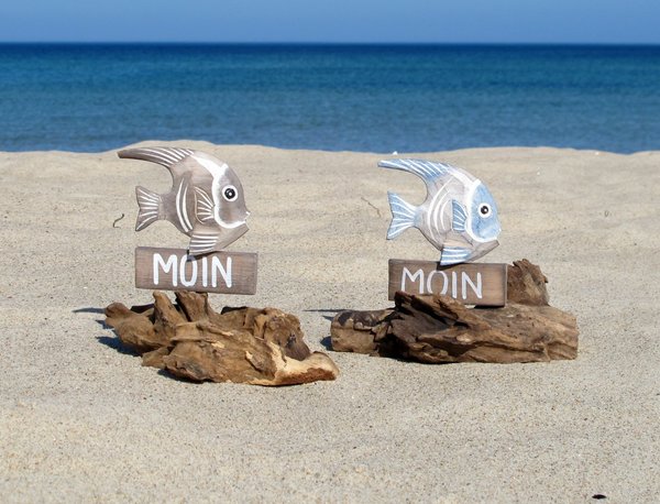 Fisch "Moin" auf Wurzelholz (braun o. blau)