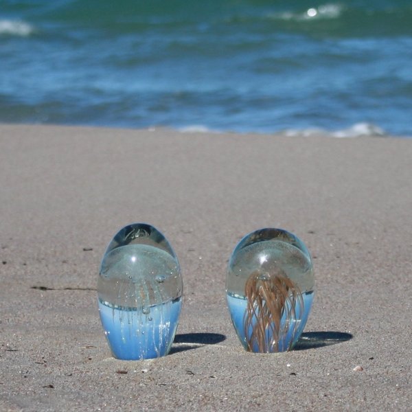 Qualle in Glas glitzernd (2 Varianten)